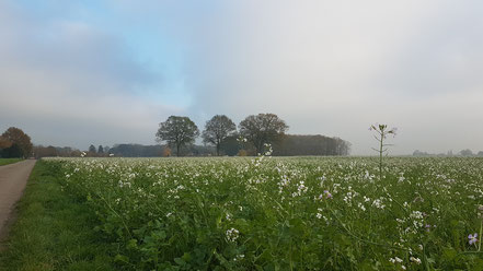 Auf dem Weg nach Poelyck ©wandelsinn