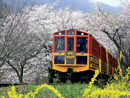 嵯峨野トロッコ列車