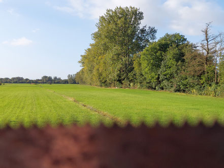 In Zeiten der Klimakatastrophe arbeitet Bergedorf mit der Säge.