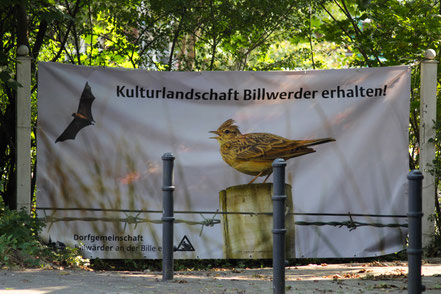 Plakat mit Fledermaus und Feldlerche