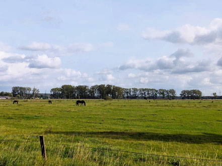 Blick vom Mittleren Landweg