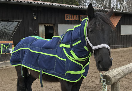 Madeline Fausel EQUIVitalis Pferdetherapie EQUISpa Zwaller Tiefenwärme Fango