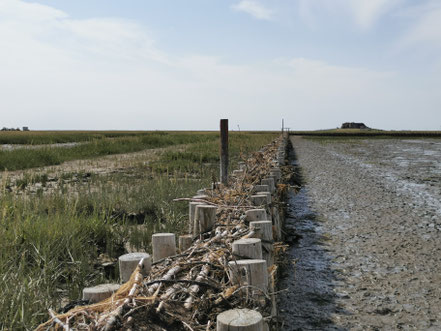 Lahnung auf dem Weg zur Hallig Nordstrandischmoor, links davon die Salzwiese, rechts das Watt.
