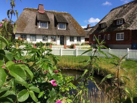 Alte Freisenhäuser, sommerliche Blumen und in der Mitte der alte Hallig-Teich, der Fething.