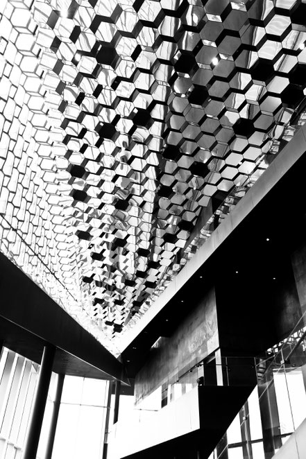 Island - Reykjavík - Harpa