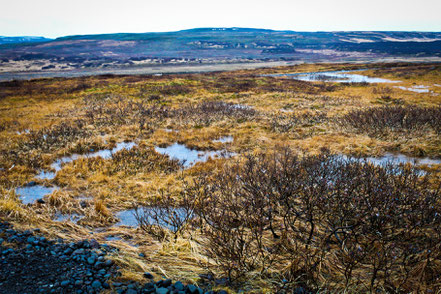 Island - Golden Circle