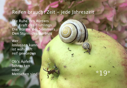 Schnecke auf Apfel