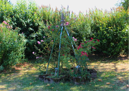 Dieser Gartenobelisk dient als strukturgebende Rankhilfe für Kletterpflanzen wie Rosen