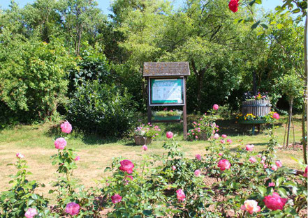 Eine Bildtafel inmitten von Rosen umgeben im Welschbacher Rosengarten