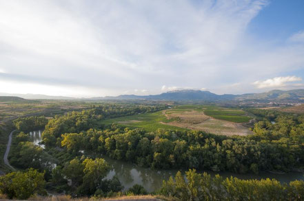Weinreise Spanien: Rioja verkosten und Weingüter besichtigen