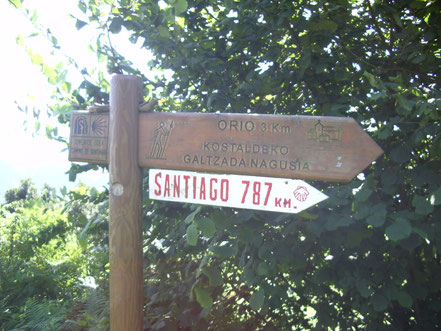 da waren es noch schlappe 787km bis Santiago ( na und ) bon Camino