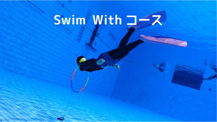 Swim withコース