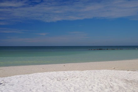 Honeymoon Island Florida