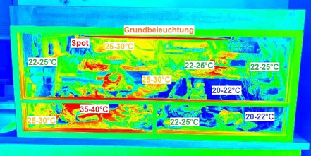 Die Wärmezonen im Terrarium von vorne gesehen