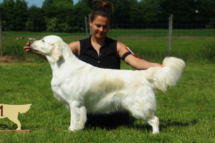 CH Miss Tiggy-Winkle v.d. Corner Brook