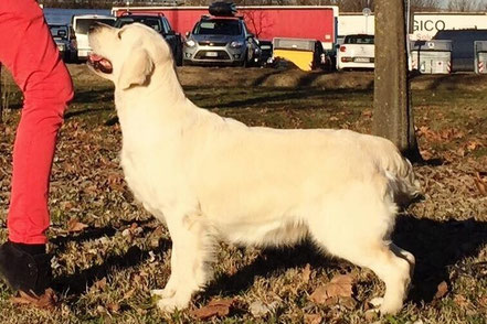 CH A Secret to Tell della Val d'Aveto