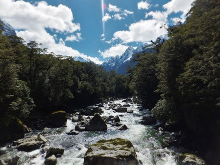 Auf dem Weg zum Sound: Tutoko River mit Ausblick auf den höchsten Berg des Fiordlands: Mount Tutoko (2723m)