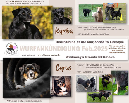 Wurfplanung mit Kymba & Cyrus (Geburt Febr. 2025)