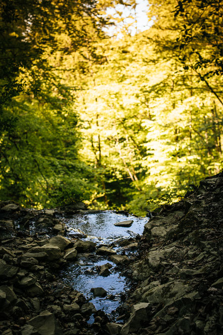 Teufelsklinge Heubach, Stift und Linse, Heubach, Wanderung, wandern, Natur