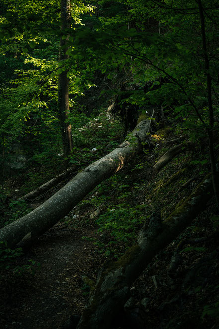 Teufelsklinge Heubach, Stift und Linse, Heubach, Wanderung, wandern, Natur