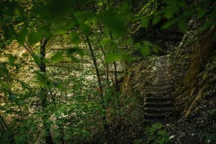 Teufelsklinge Heubach, Stift und Linse, Heubach, Wanderung, wandern, Natur