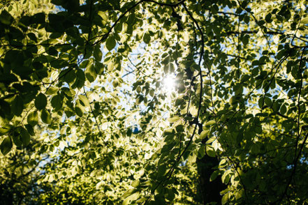 Teufelsklinge Heubach, Stift und Linse, Heubach, Wanderung, wandern, Natur