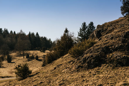 Neresheim, wandern, Wanderweg, Natur, Härtsfeldsee, Ostalbkreis, "Stift und Linse"
