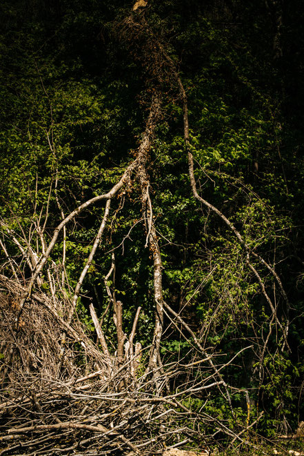 Teufelsklinge Heubach, Stift und Linse, Heubach, Wanderung, wandern, Natur