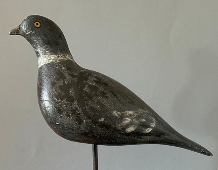 Early 20th century decoy pigeon with a pewter beak