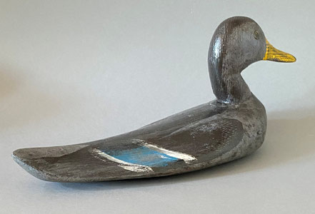 American painted decoy duck