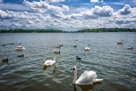 Ruppiner See, Neuruppin