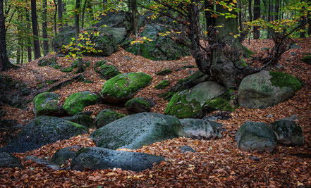 Stecklenberg