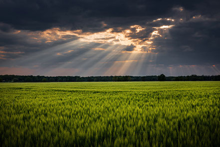 Landschaft mit Sonnenstrahlen nach Regen