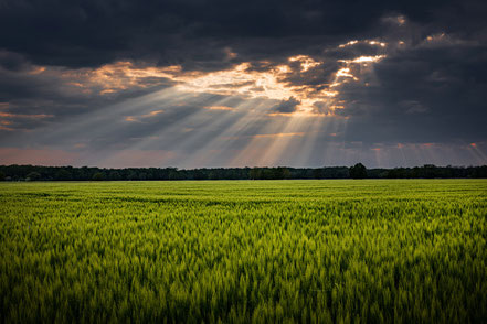 Landschaft mit Sonnenstrahlen nach Regen