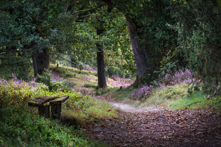 Wanderwege durch die Lüneburger Heide, Totengrund