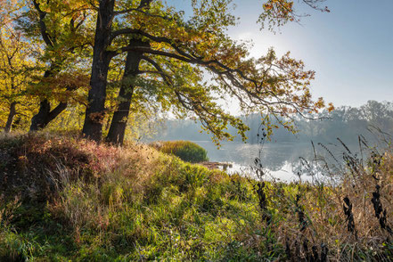 Herbstlicher Diepold