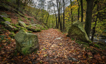 Bodetal, Fotoworkshop Harz