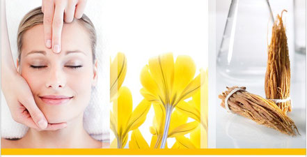 Day Spa Ästhetika Beauty Concepts Trier