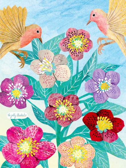 playfull winter illustration with two Robins flying to a Helleborus flower, playful collage illustration by the jolly illustrator