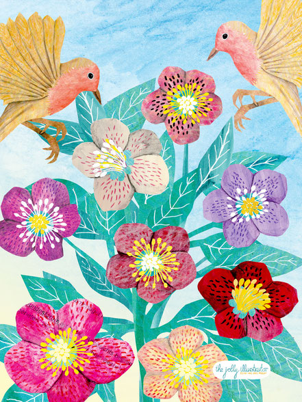 Papercut illustration showing a Helleborus flower and two robins. Pastel-coloured winter illustration by the jolly illustrator. Theme Christmas