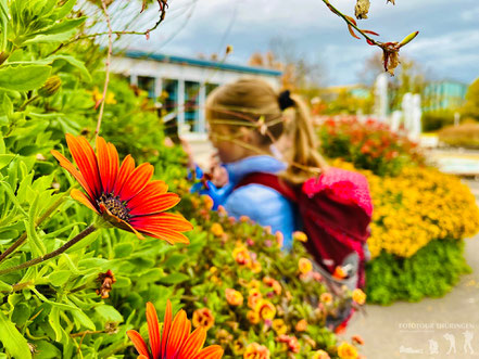 Danakil Wüsten- und Urwaldhaus im EGA Park, Erfurt l Foto: Melanie Kahl