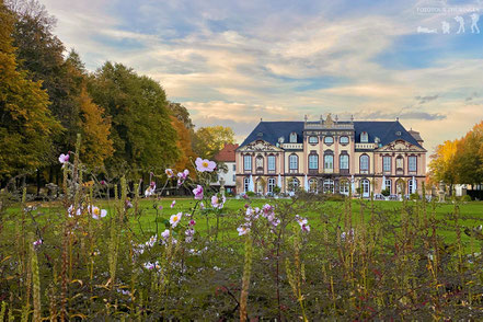 Schloss Molsdorf
