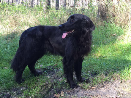 Diva vom Peetzsee besuchte Baki am 28.05.