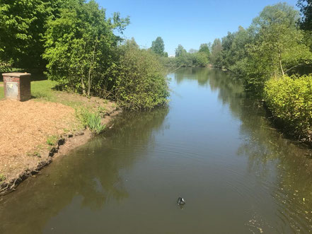 Zahlreiche Fleete führen vom und zum Krimpelsee in Bremen-Habenhausen, Bremen Obervieland (Foto: 05-2018, Jens Schmidt)