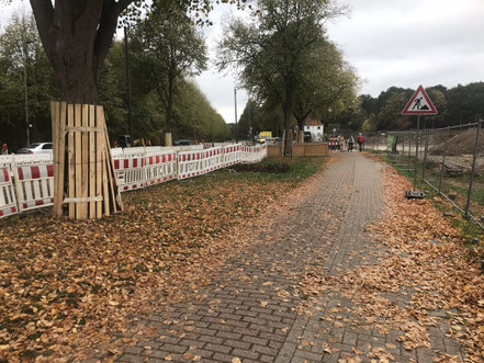Schutz des Baumbestands an der Habenhauser Landstraße (Foto 10/2018)