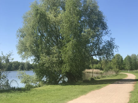 Uferbereich am Krimpelsee in Bremen-Habenhausen