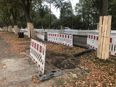 Schutz des Baumbestands an der Habenhauser Landstraße (Foto 10/2018)