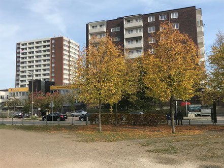 Herbstatmosphäre auf dem Cato-Bontjes-van-Beek-Platz in Kattenturm. Der Platz erinnert an die mit 22 Jahren hingerichtete Widerstandskämpferin gegen des NS-Regime. (Foto: 11-2018, Jens Schmidt)