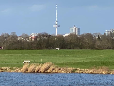 Klare Sicht auf den Waller Funkturm vom Werdersee aus (Foto: 02-2020)