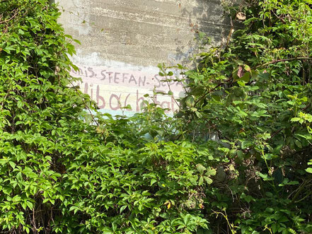 Auf der linken Seite ist fast gar nichts mehr vom Kunstwerk "Blütenteppich" am Hochbunker in Kattenturm zu erkennen (Foto: 05-2020, Jens Schmidt)